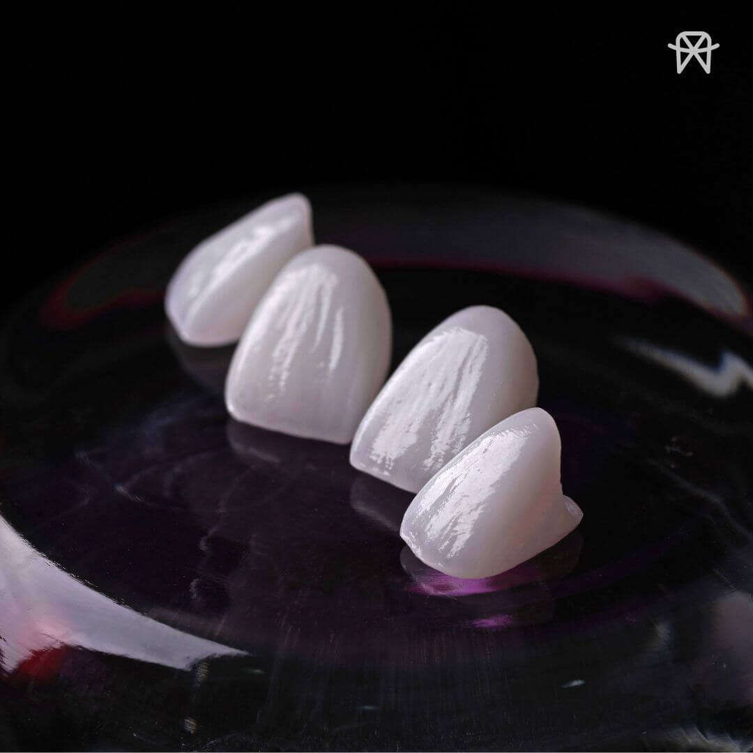 469041951_967765268720186_5056014219442863974_n